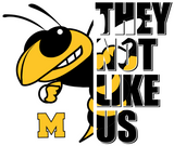 They Not Like Us With Bee